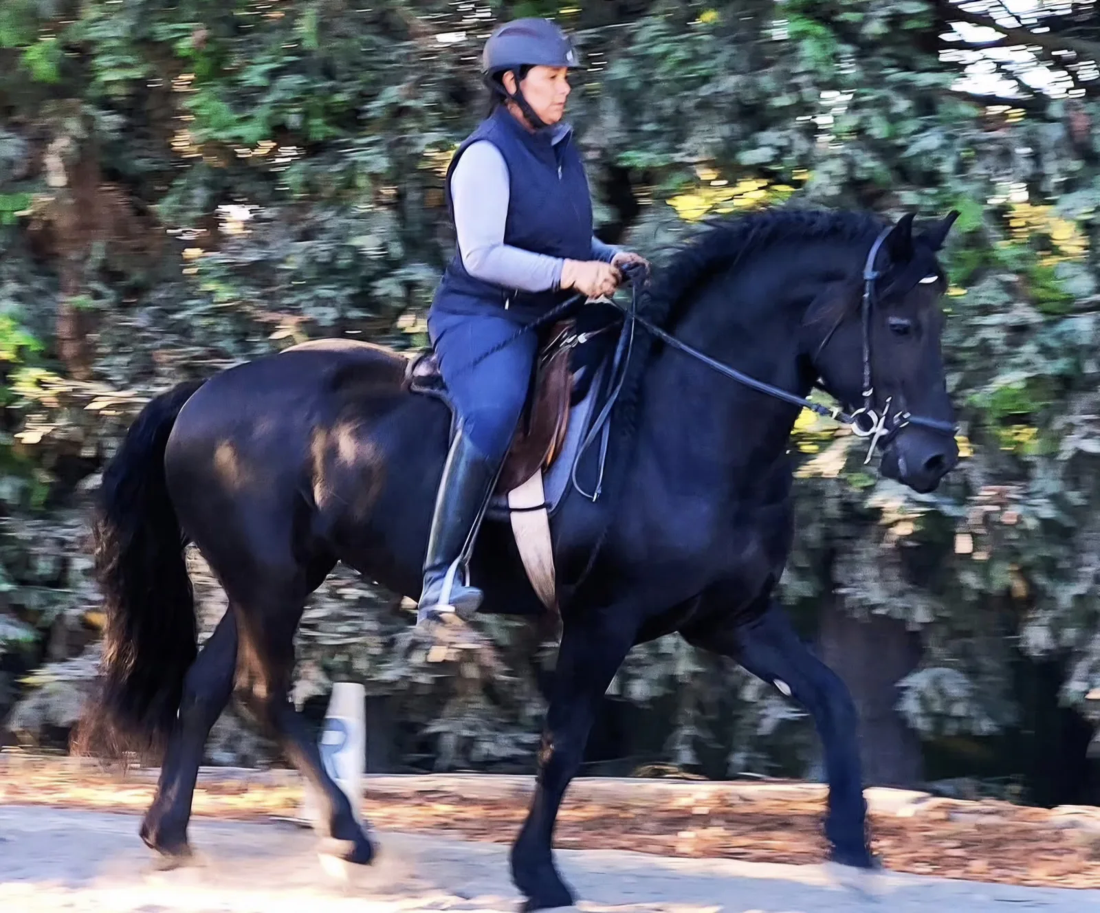 A black horse in working trot under saddle, captured with motion blur