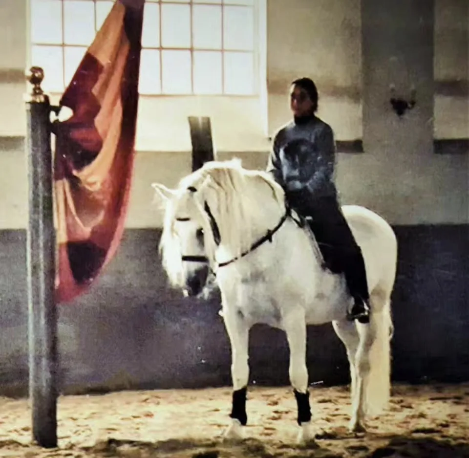A white horse and rider halted in a classical riding hall