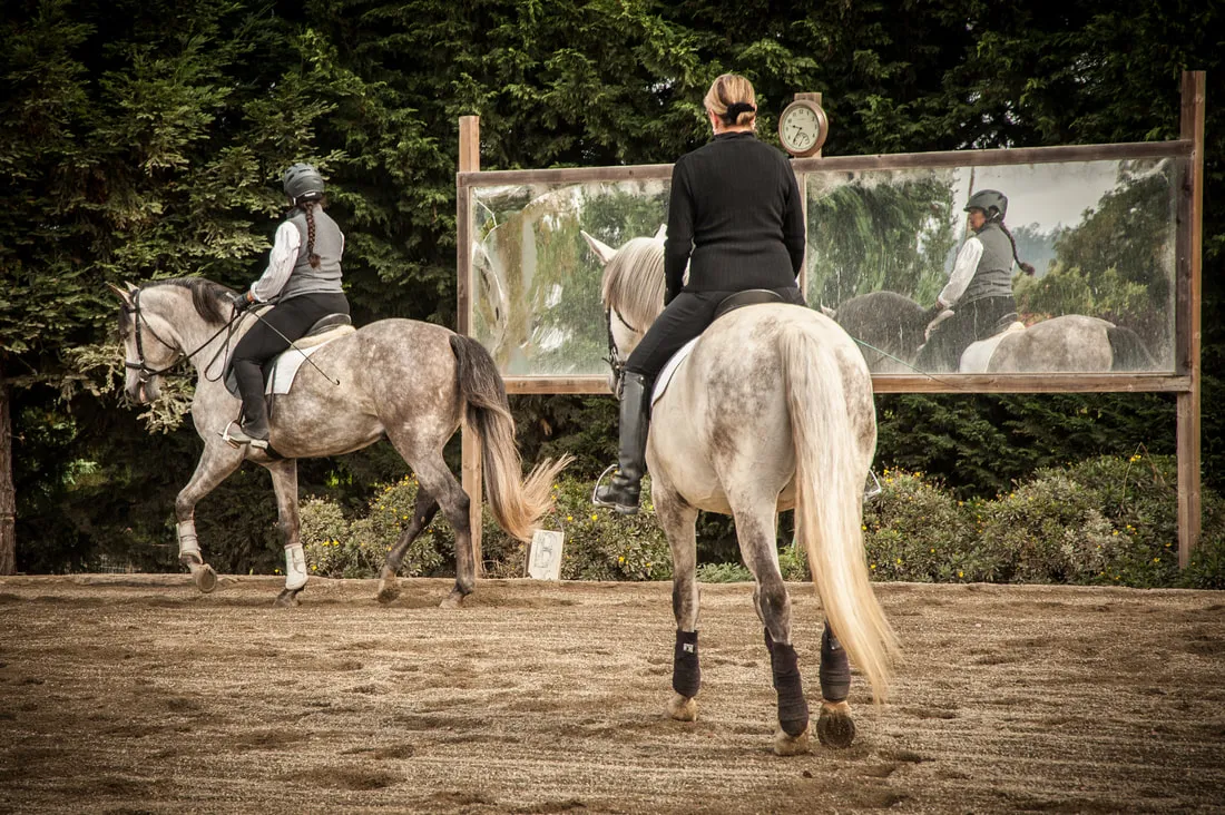 Melissa Simms riding a grey horse toward the arena mirrors at the Reitinstitut