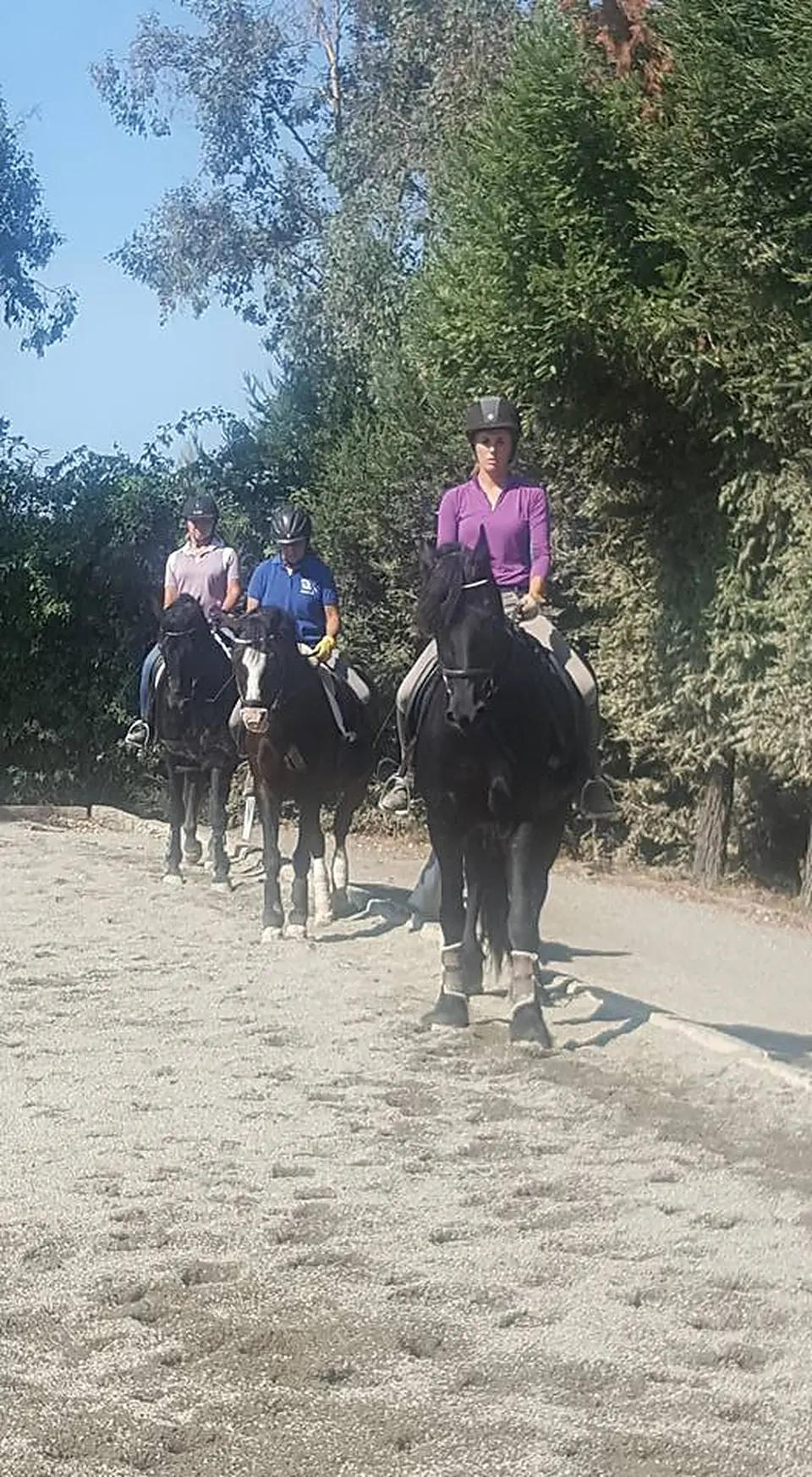 Riders in a group lesson at the farm