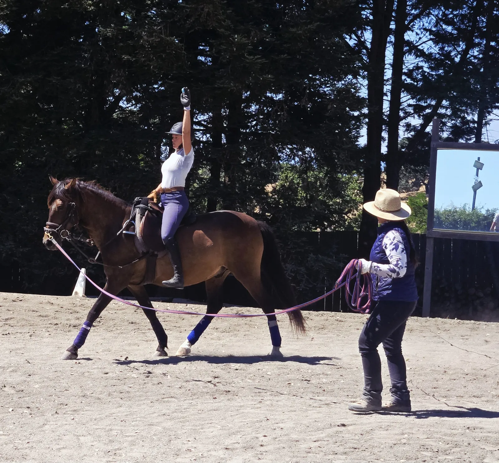 A lunge lesson in the arena at Traditions Farm: the rider raises one arm for balance while the horse trots on the line