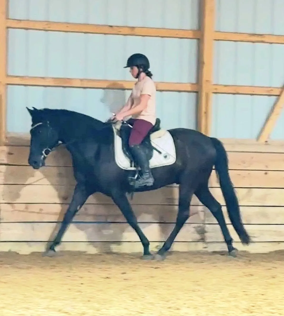 Josephine riding her black horse in trot along the arena wall