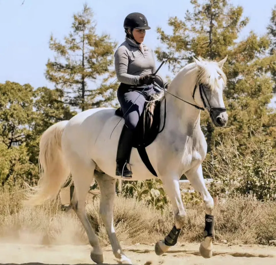 A light grey horse in canter under saddle in an outdoor arena