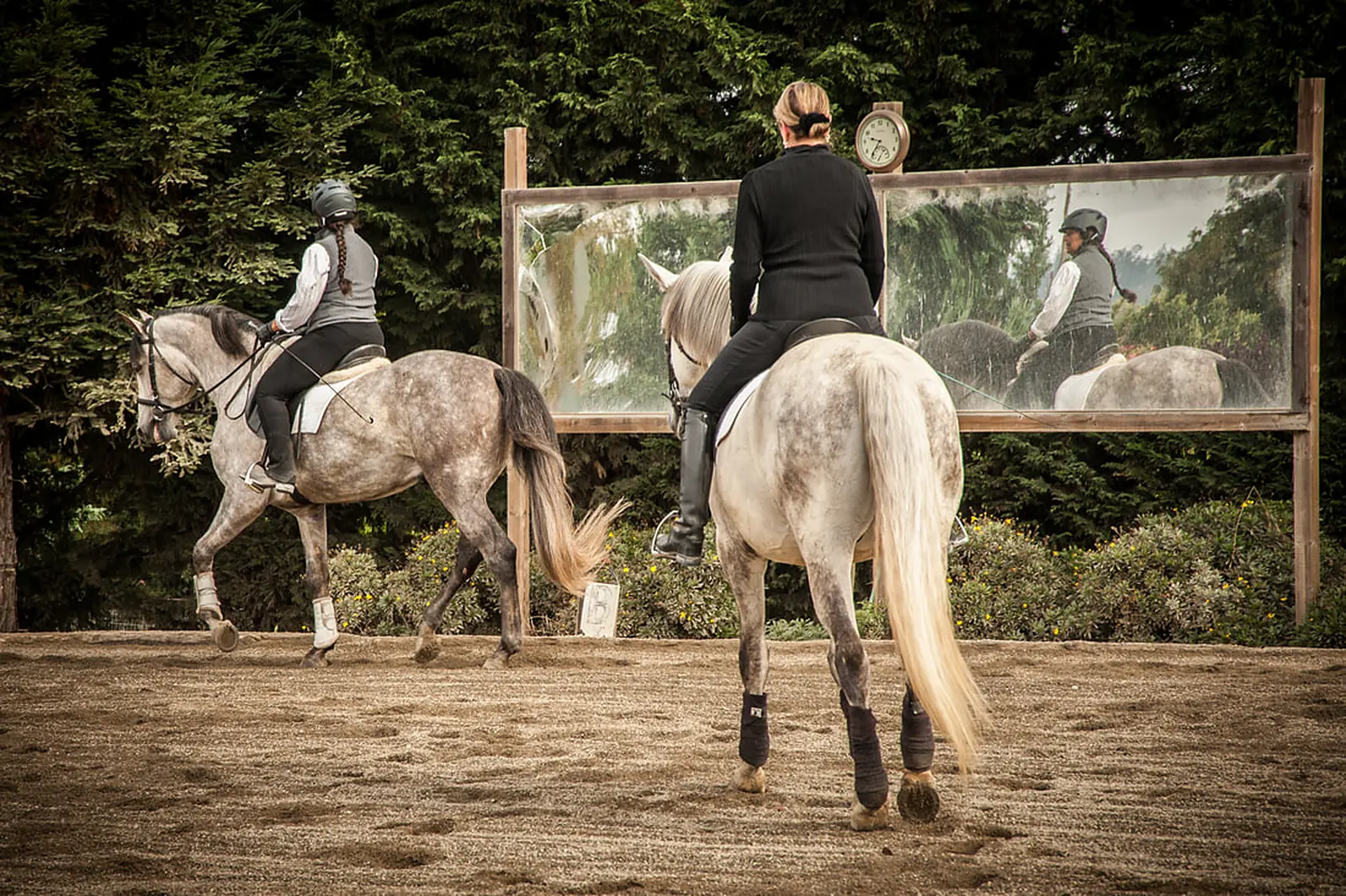 Melissa Simms riding a grey horse toward the arena mirrors at the Reitinstitut