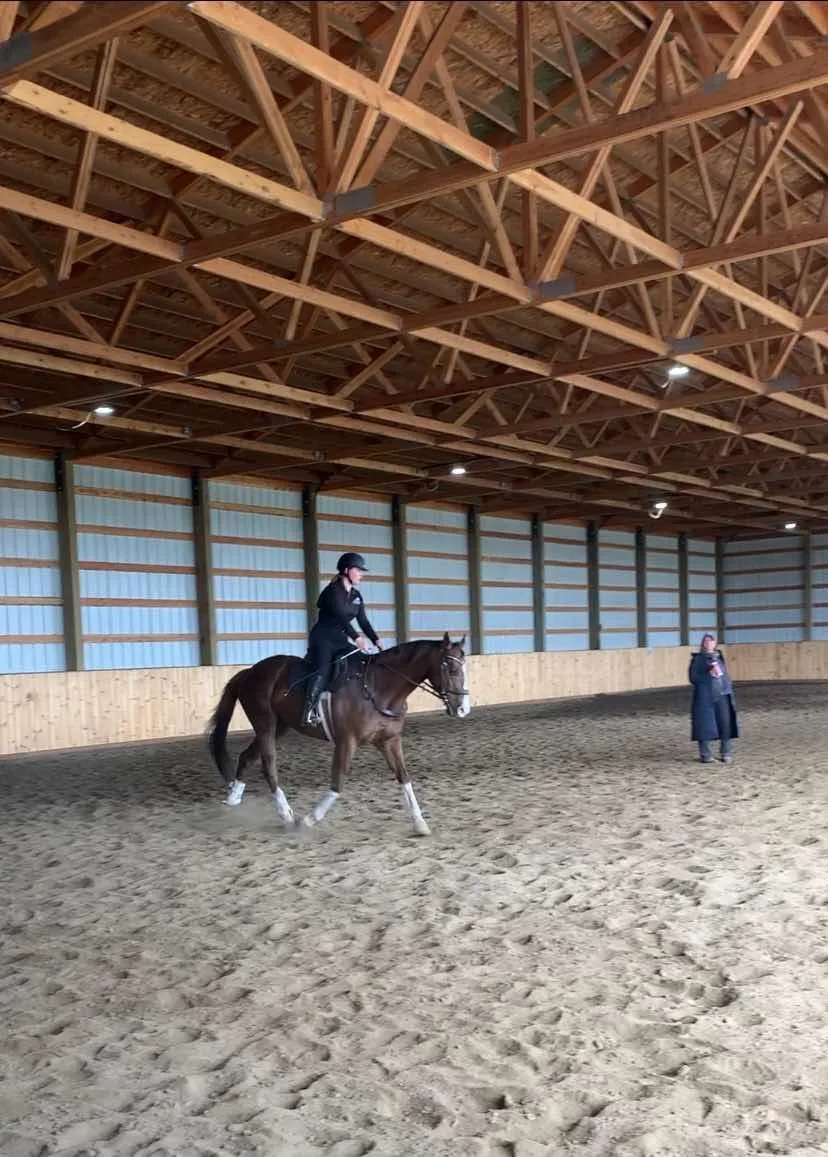 Morgan trotting a bay horse across the arena during a virtual lesson
