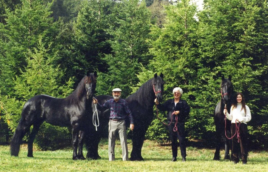 Sandra Surber Gaines and family with their black Friesians among evergreens