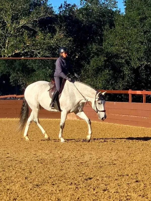 Anne Adair, a student of Tressa Boulden, with a horse