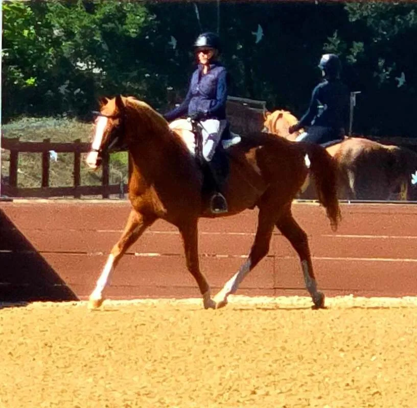 Anne Adair, a student of Tressa Boulden, with a horse