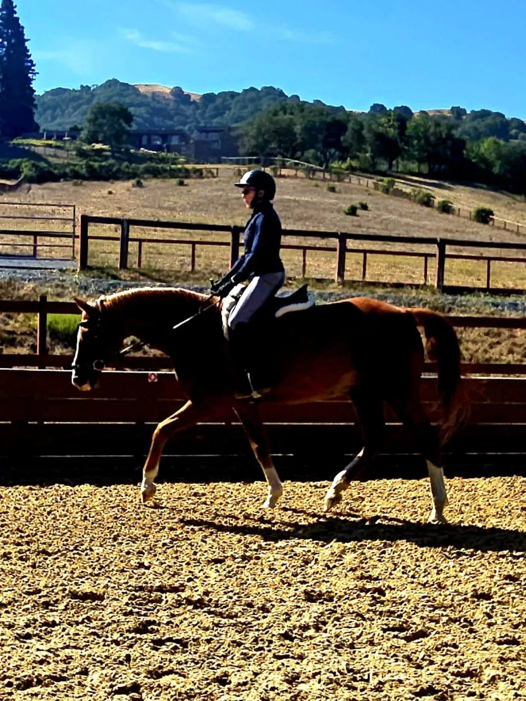 Anne Adair, a student of Tressa Boulden, with a horse
