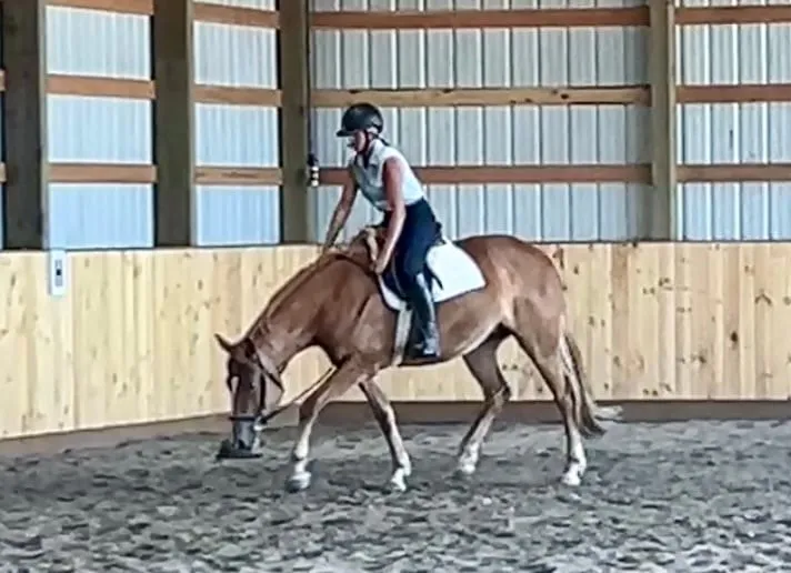 Ashley Jantzer, a student of Tressa Boulden, with a horse