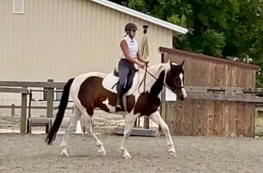 Ashley Jantzer, a student of Tressa Boulden, with a horse