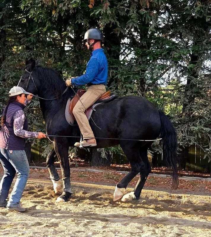 Don Coyote learning piaffe in hand with Tressa, Jason riding