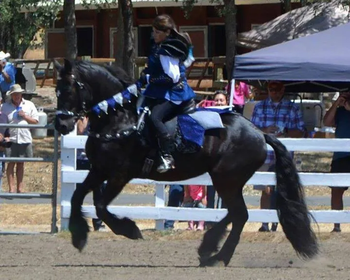 Judy Tamagni, a student of Tressa Boulden, with a horse