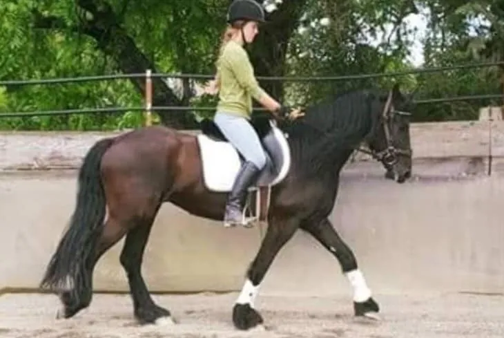 Paloma David, a student of Tressa Boulden, with a horse