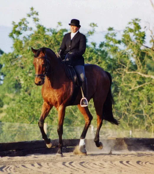 Susan Yasinitsky's Thoroughbred "Gene", 25 yrs, under rider Tressa Boulden