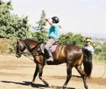 Tricia on "Andy"