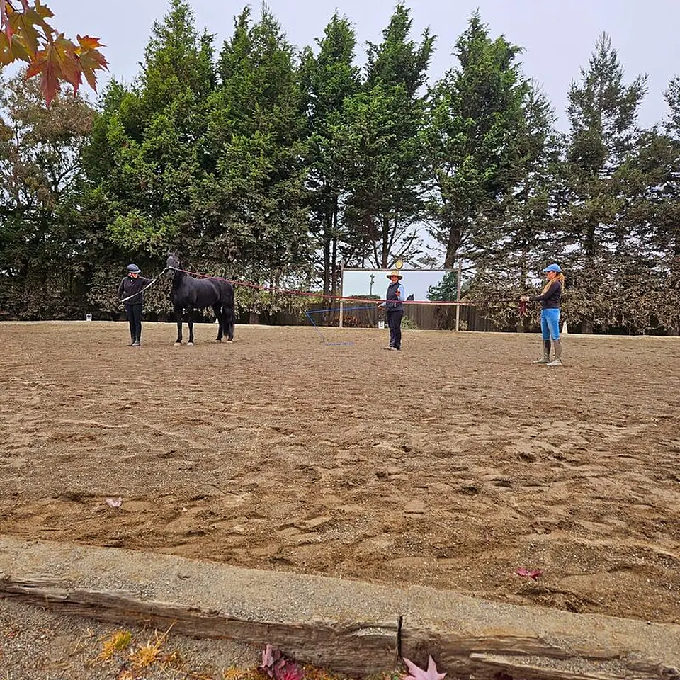 The outdoor arena at Traditions Farm with riders at a distance