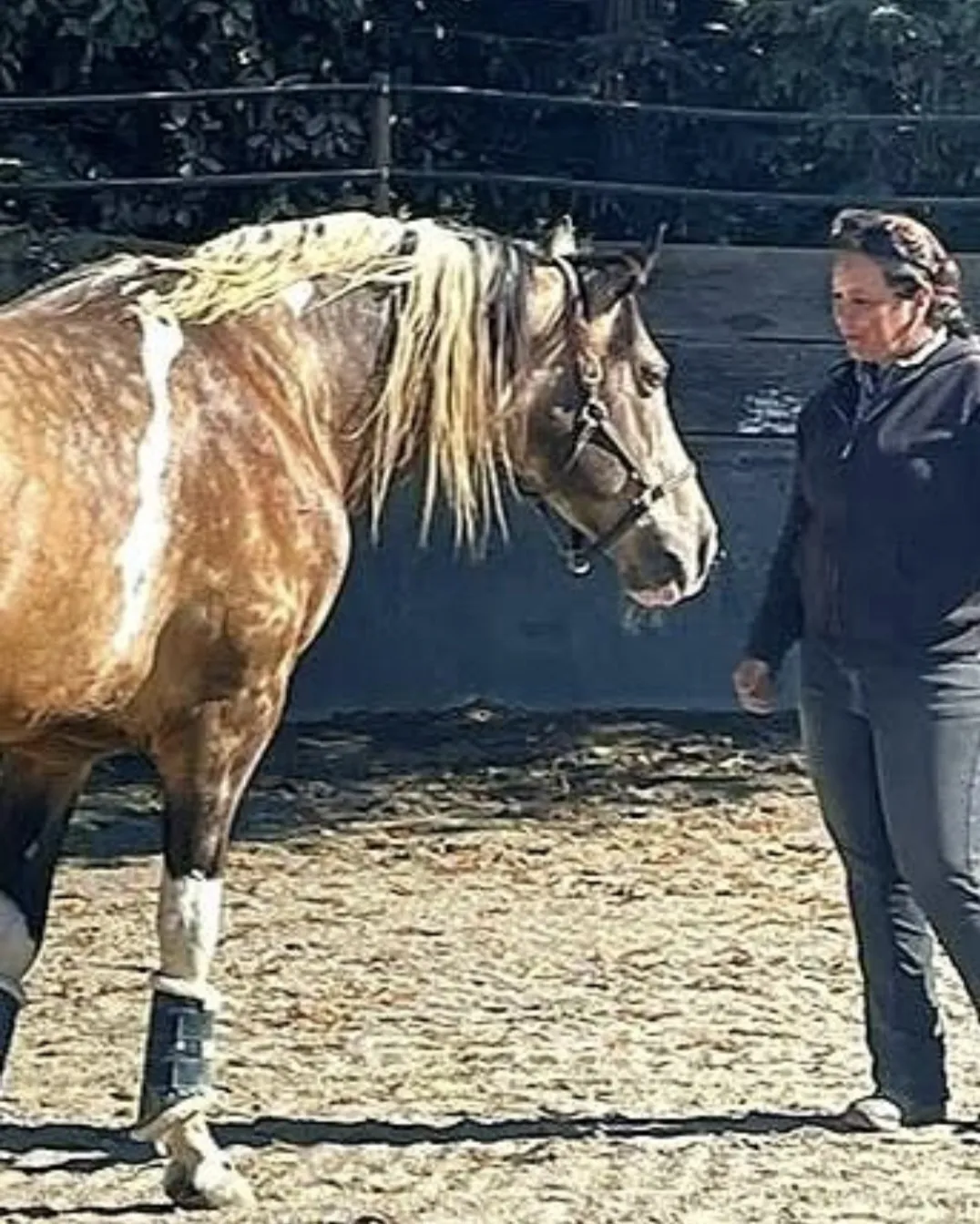 Tressa standing quietly beside a dun horse at liberty